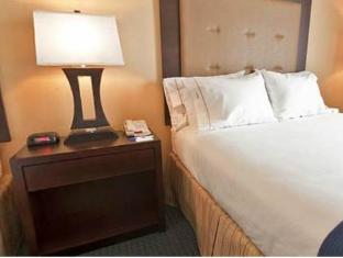 Holiday Inn Express Hotel & Suites Detroit Novi