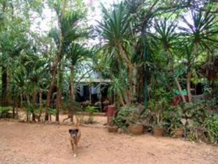 Sam's Jungle Guesthouse