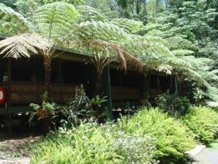 Chambers Wildlife Rainforest Lodges 卡萨科尔科瓦丛林洛吉酒店