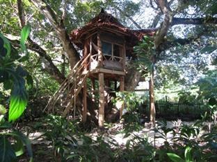 The Mangrove Garden Hotel