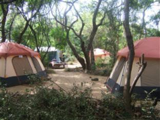Alkin Resorts Camping 阿尔金露营度假村