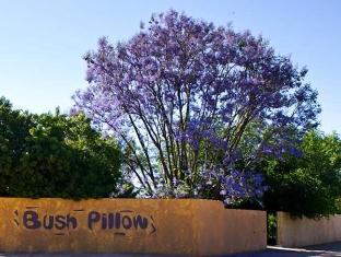 Namibia-Bush Pillow Guest House