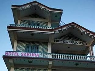 Hotel Sakura 樱花酒店