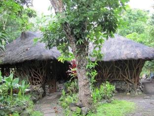 Philippines-Nature Villa Bed and Breakfast