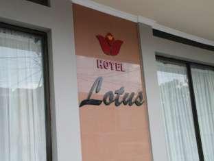 Lotus Hotel 深圳禧莲酒店
