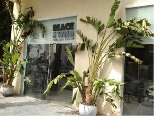 Black&Wild Boutique Hostel