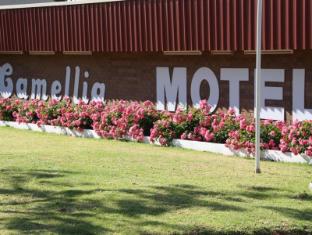 Camellia Motel 