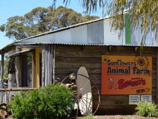 Sunflowers Animal Farm and Farmstay Guest House