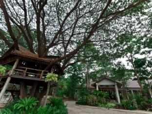 tree house hotel
