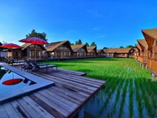 rice farm villa