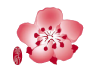 China Airlines