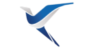 Link Airways