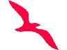 Air Arabia