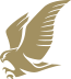 Gulf Air